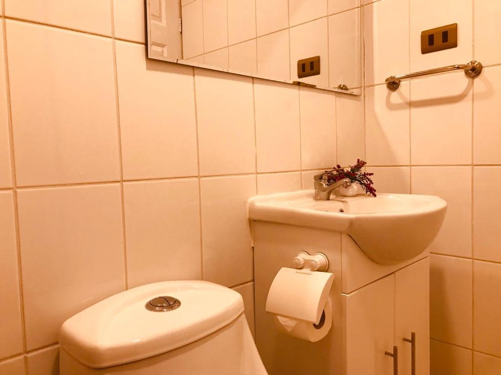 Apart Hotel Don Domingo Темуко Екстер'єр фото